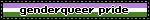 the words 'genderqueer pride' over the genderqueer flag